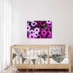 Kép - Virágok (70x50 cm)