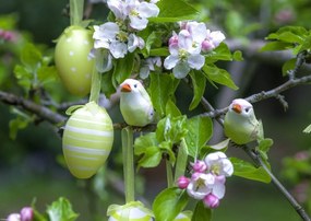 Poszter 42x29,7cm Húsvéti tojások lógnak az ágakon, Assaf Frank