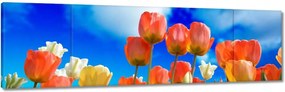 Vászonkép 170x50 Színes tulipánok