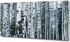 Fotó kép fotó edzett üveg Fű 100x70