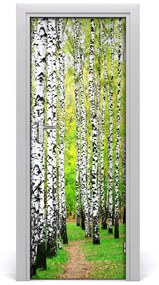 Ajtóposzter nyírfa erdő 85x205 cm