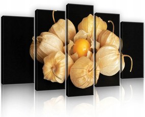 Vászonkép 100x60 Fizalis bogyók ősz csendélet meleg narancssárga