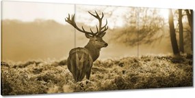 Képek 210x100 Szarvas az erdőben