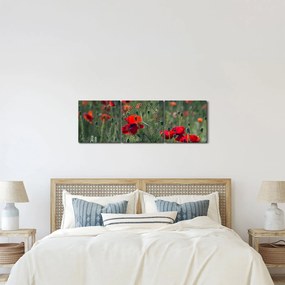 Kép - Rét mák virággal (órával) (90x30 cm)