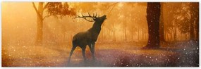 Poszterek 200x66 Szarvas az erdőben