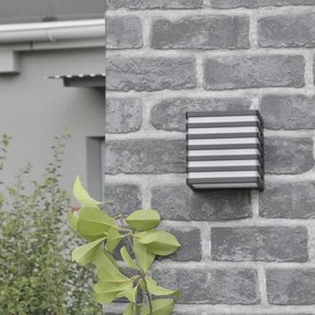 MAXWELL LED 10W 230V IP54 kültéri fali lámpa antracit