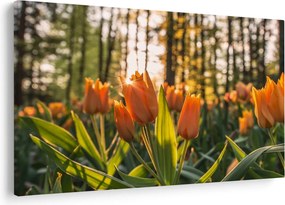 Narancssárga tulipán képe (90x60 cm)