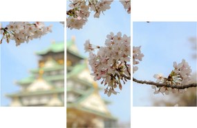 Kép - Sakura (90x60 cm)