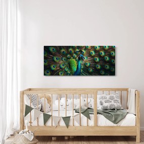 Kép – Pávatoll (120x50 cm)