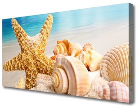Vászonkép falra Starfish Shell Art 100x50 cm