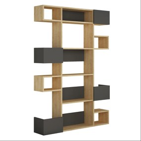 könyvespolc Niho - Oak, Anthracite