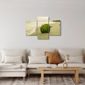 Kép egy levél a homokban (90x60 cm)