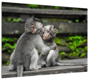 Kép - majmok (70x50 cm)