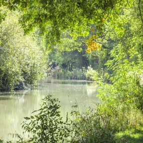 Poszter 40x40cm Basingstoke csatorna, Assaf Frank