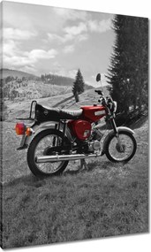 Vászonkép 70x100 Piros Simson S51 E