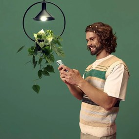 Szálas okos izzó E27, 4 W – WiZ