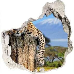 3d-s lyuk vizuális effektusok matrica Leopard egy fatönkön nd-p-66888484