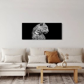 Kép - Leopárd (120x50 cm)