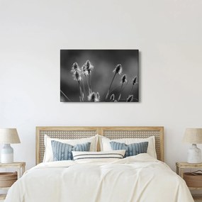 Kép - Bézs színű puha fű N⁰2 (90x60 cm)