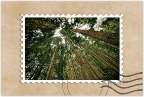 Poszterek 90x60 Fák