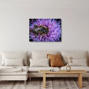 Méh a virágon képe (üvegen) (70x50 cm)