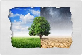 Poszterek 90x60 Esős évszak