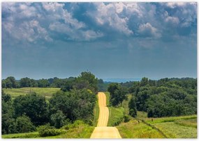 Poszterek 100x70 Út Rét Mező Erdő