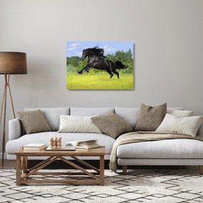 Üveg kép - Ló hullámzó sörénnyel (70x50 cm)