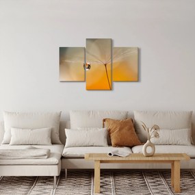 Kép - Makró virág (90x60 cm)