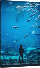 Vászonkép Emberek Akvárium Víz Tengeri Óceán Élet 70x120 cm
