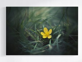 Poszter Kert Rét Fű Sárga Virág Tavasz Természet 60x40