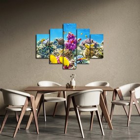 Kép - A tenger világa (150x105 cm)