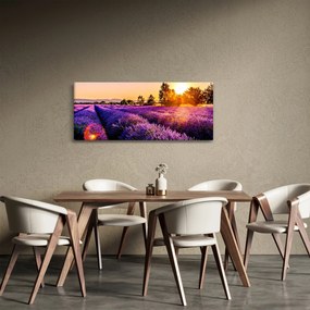 A levendula mező képe, Provence (120x50 cm)
