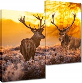 Vászonkép 60x60 Szarvasok a bömbölőn