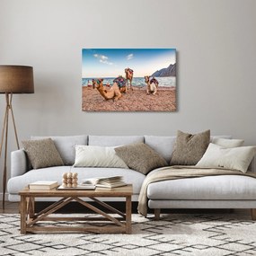 A tevék képe (90x60 cm)