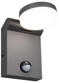 Kültéri lámpa mozgásérzékelővel (magasság 19 cm) Adour – Trio