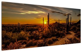 Kép - A nap vége az arizonai sivatagban (120x50 cm)