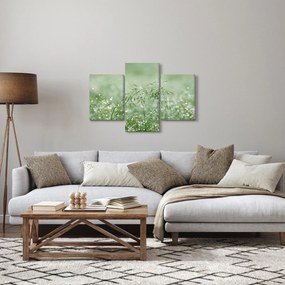 Kép - Harmat a fűben (90x60 cm)