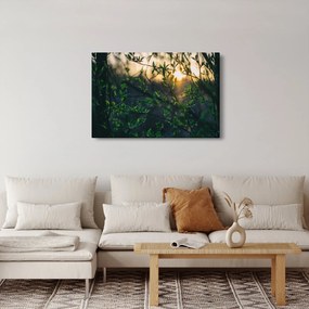 A ragyogó nap képe a fák gallyain keresztül (90x60 cm)