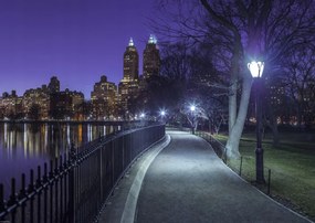 Poszter 59,4x42cm Central Park, Assaf Frank