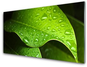 Modern üvegkép Dew Drops Leaf 100x50 cm