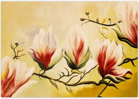 Poszterek 100x70 Magnólia