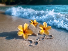 Vászonkép Canvas Tenger Tengerpart Homok Szív Virágok Plumeria 100x75