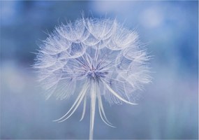 Fali fotótapéta Étkezőbe Kék finomság 208x146