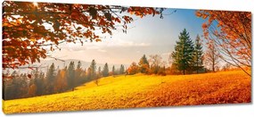 Festmények 100x40 Őszi táj