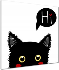Vászonkép 40x40 Cica