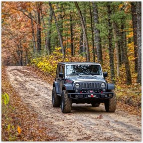 Poszterek 30x30 Jeep Wrangler az erdĆben