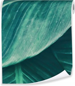 Tapéta Trópusi Levelek Flizelin Fal Tapéta Hálószoba Nappali