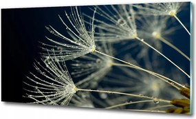 Fotótapéta üvegfalra Magnólia virágok 100x70