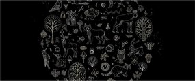 Kép - természet (120x50 cm)